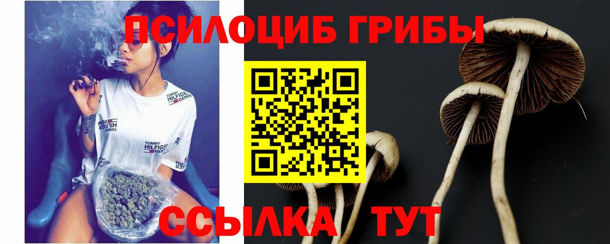 цены   Вход с VPN  Галлюциногенные грибы мухоморы  Прокопьевск  Псилоцибиновые грибы Psilocybine cubensis 